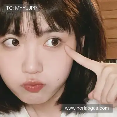经月恩